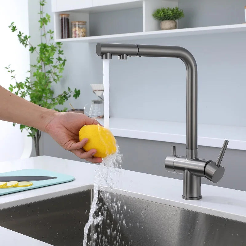 Stainless Steel Kitchen Sink Faucet- Pull Down Sprayer 2 Handle - Filter Purifier Faucet Dual Sprayer for Drinking