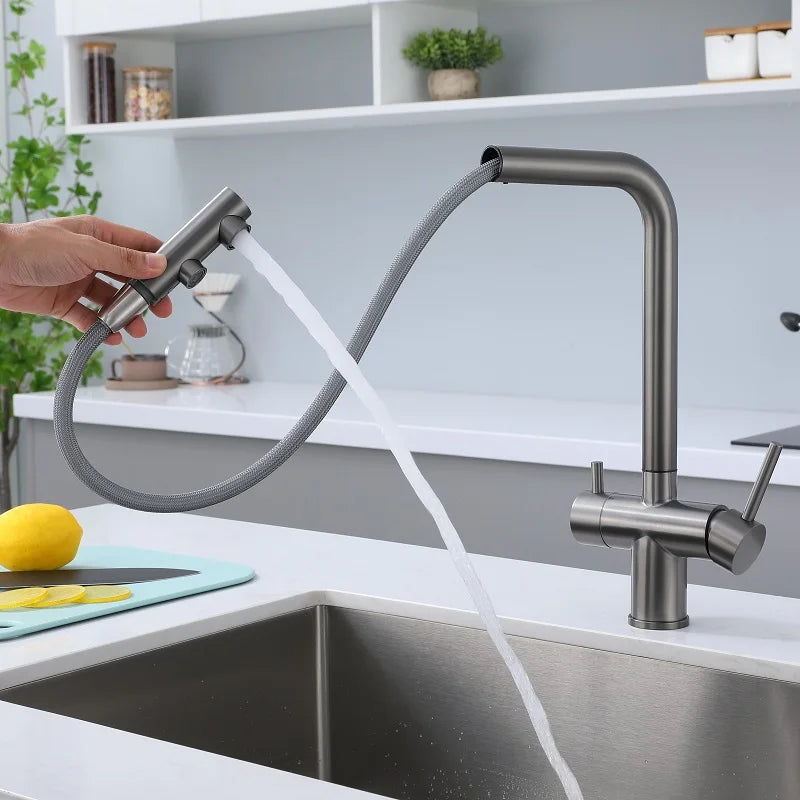 Stainless Steel Kitchen Sink Faucet- Pull Down Sprayer 2 Handle - Filter Purifier Faucet Dual Sprayer for Drinking